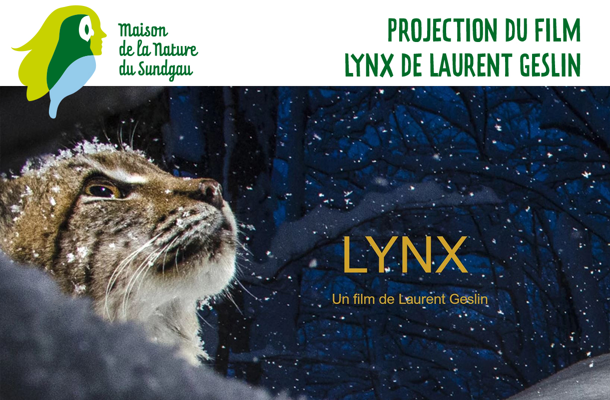 Projection du film Lynx de Laurent Geslin