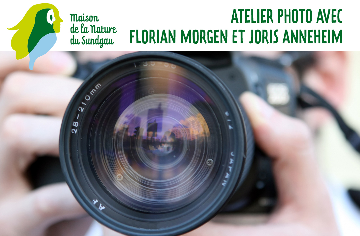 Atelier photo avec Florian Morgen et Joris Anneheim