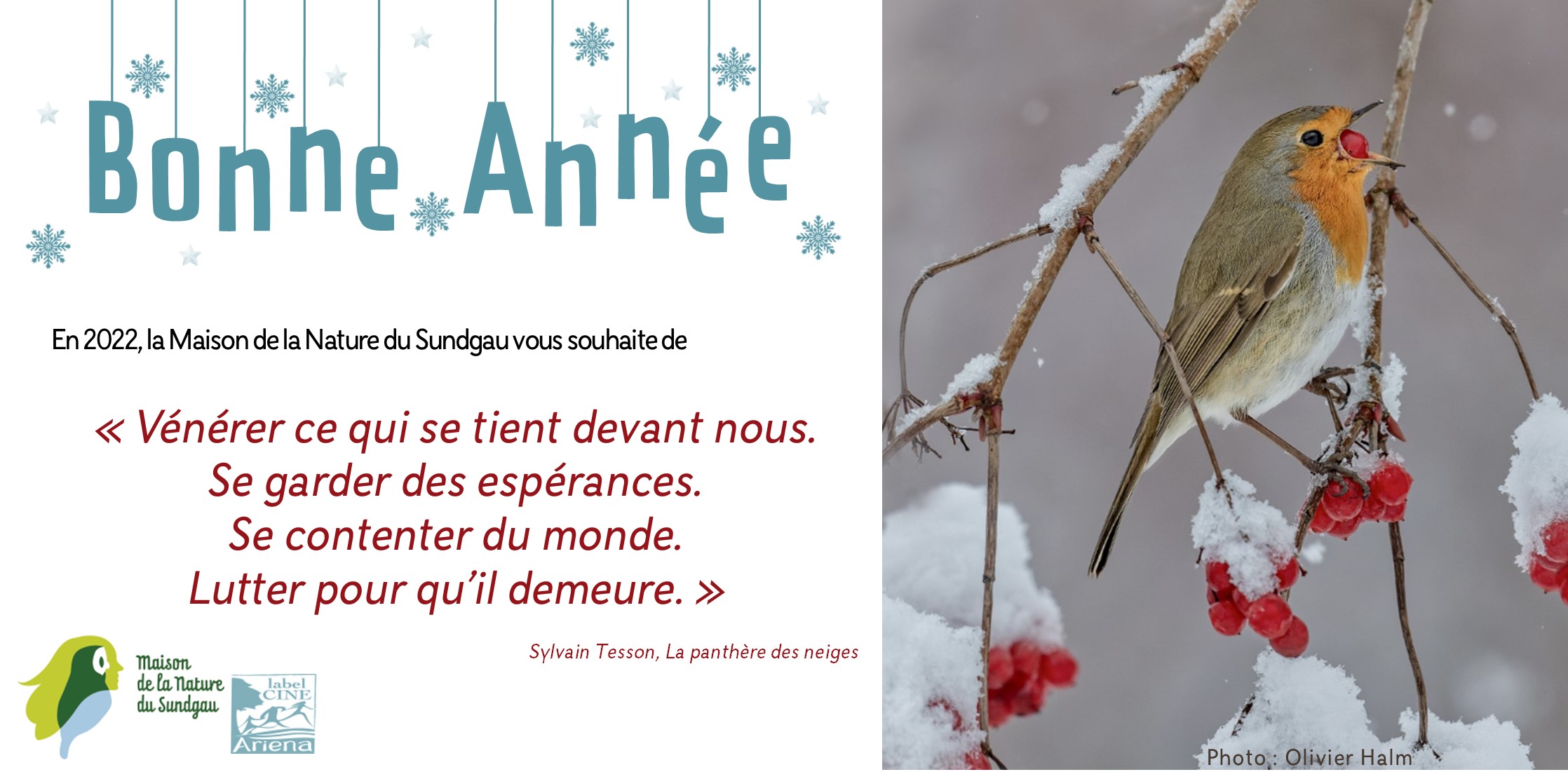 Bonne année 2022
