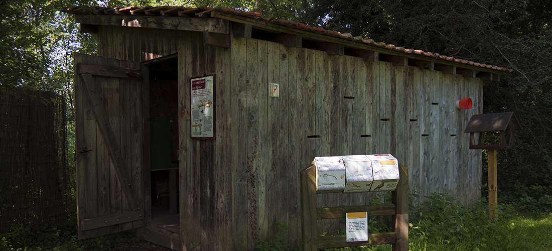 Sur place cabane oiseaux