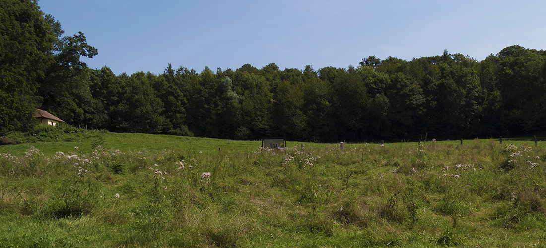 Sur place prairie