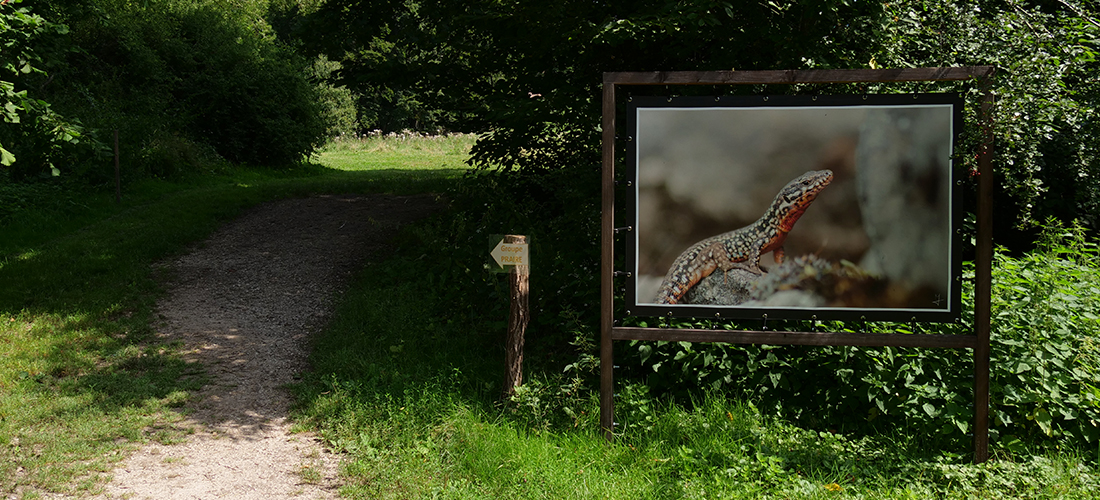 Sur place sentier