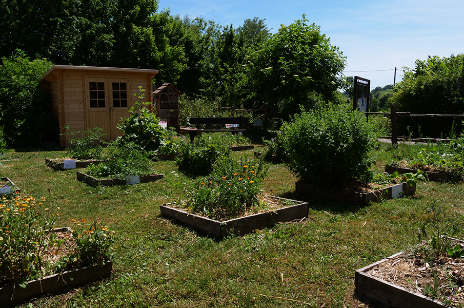 LE POTAGER DES ENFANTS