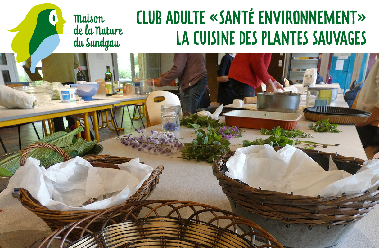 Club adulte "santé environnement" : la cuisine des plantes sauvages