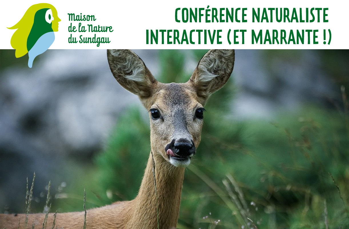 Conférence naturaliste interactive (et marrante !)