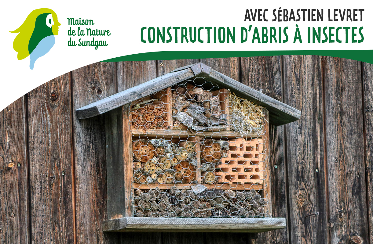 Construction d'abris à insectes