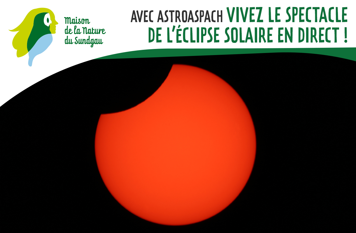 Vivez le spectacle de l'éclipse solaire en direct !