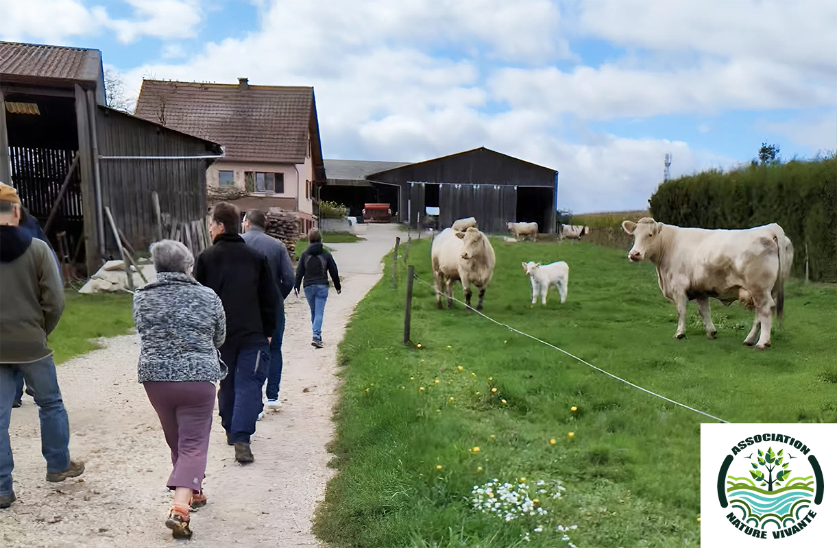 Visite de la ferme du Krebsbach avec l'Association Nature Vivante