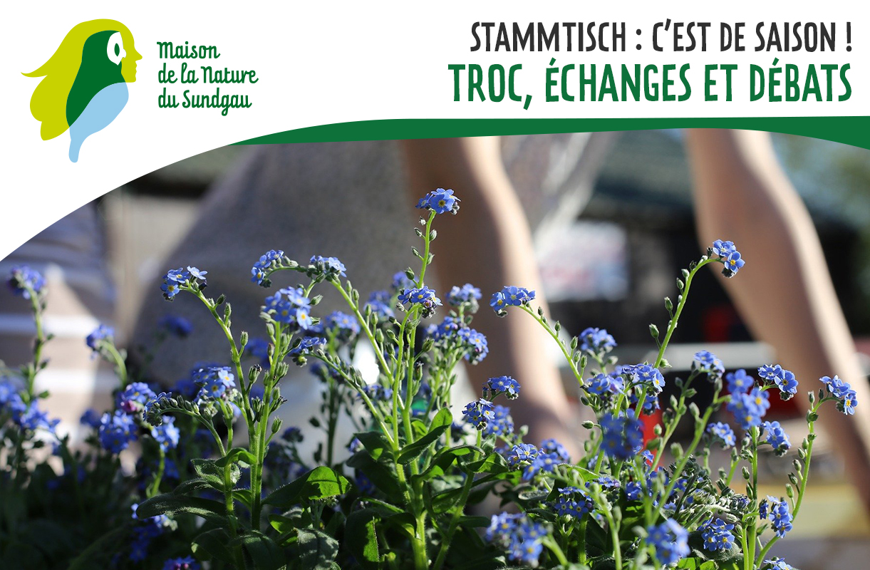 Stammtisch : C'est de saison ! Troc, échanges et débats