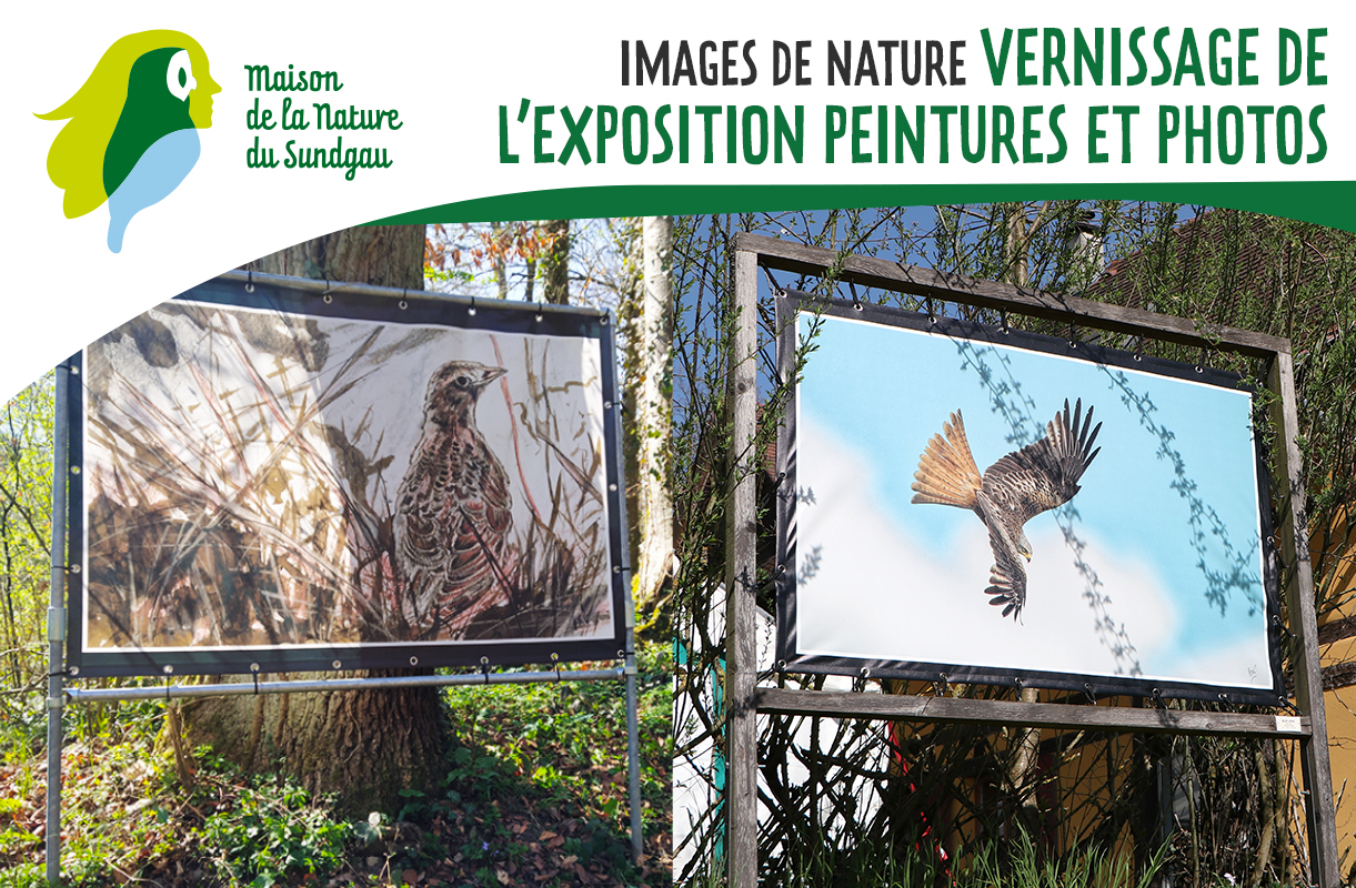 Images de nature : vernissage de l'exposition peintures et photos