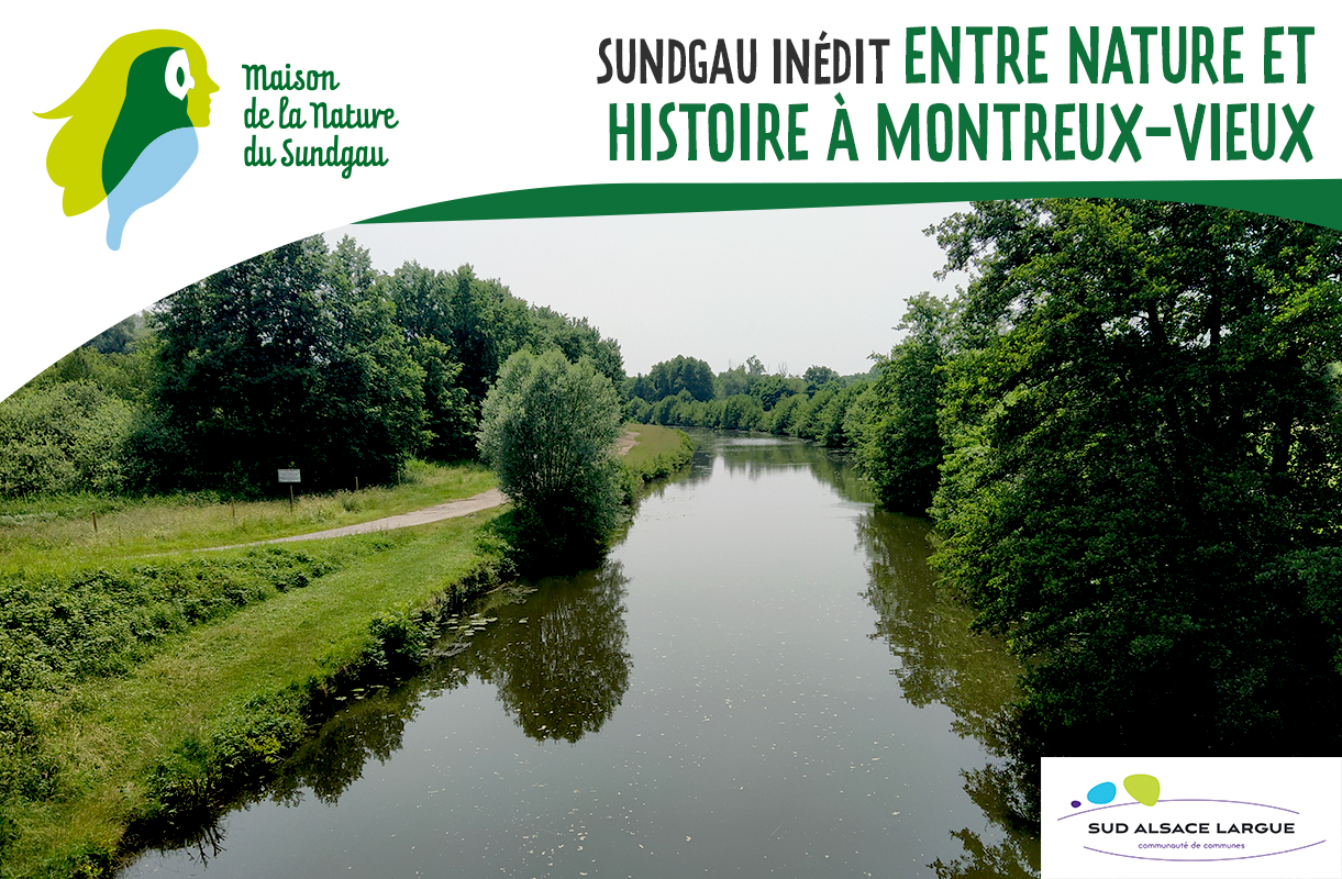 Entre histoire et canal à Montreux-Vieux