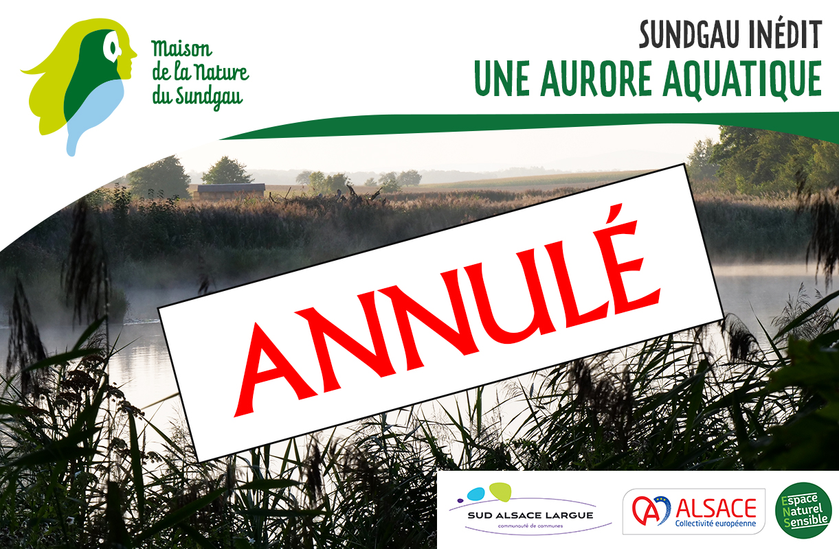 Une aurore aquatique