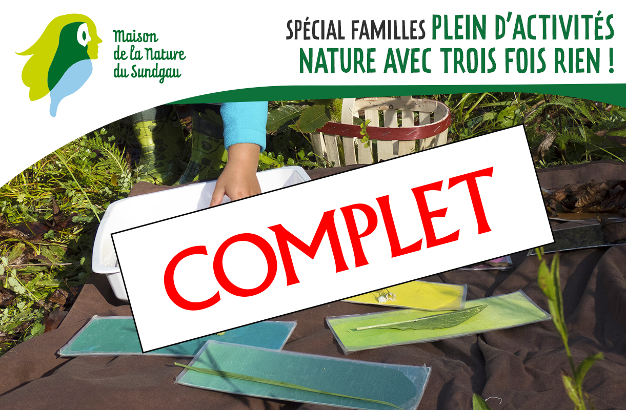 Spécial familles - Plein d’activités nature avec trois fois rien !