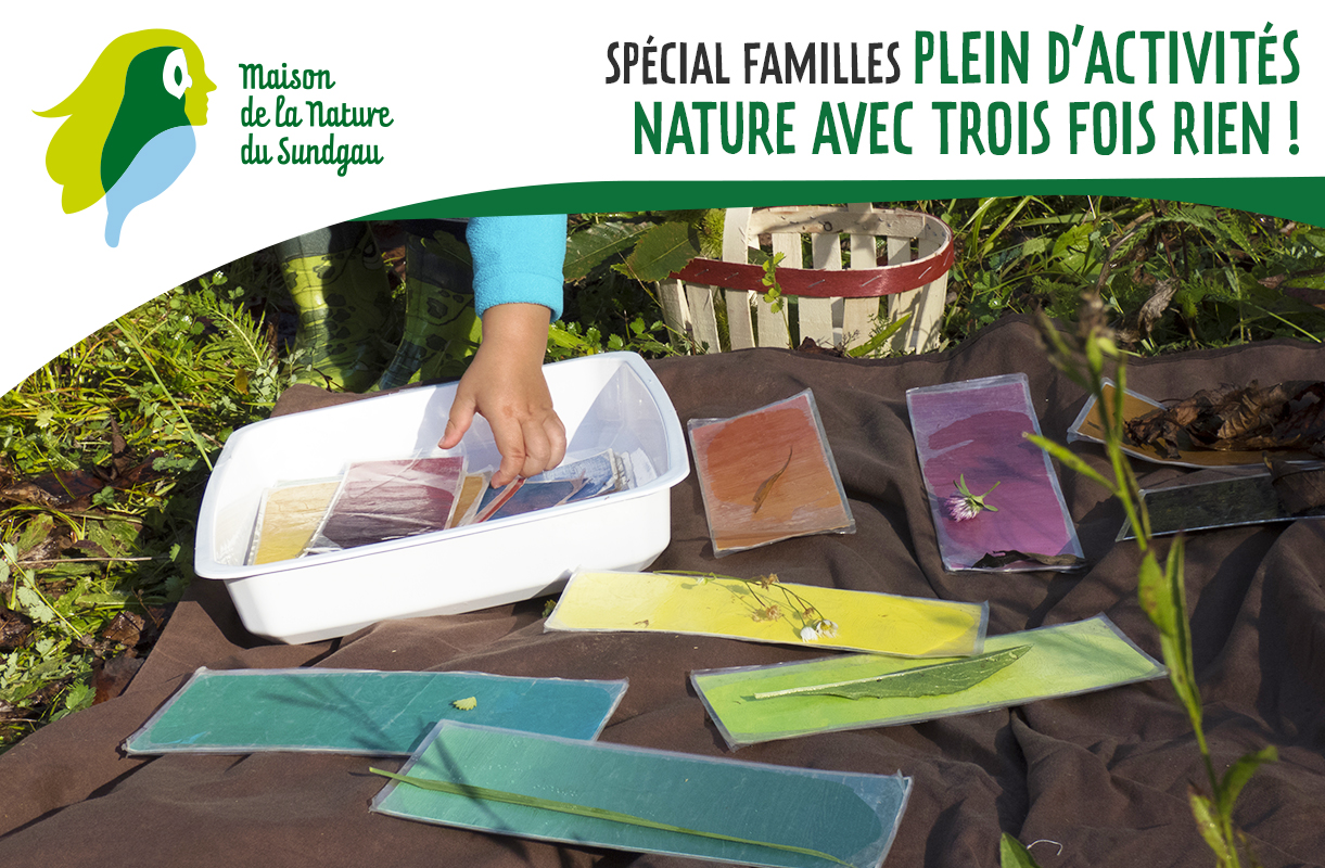 Spécial familles - Plein d’activités nature avec trois fois rien !