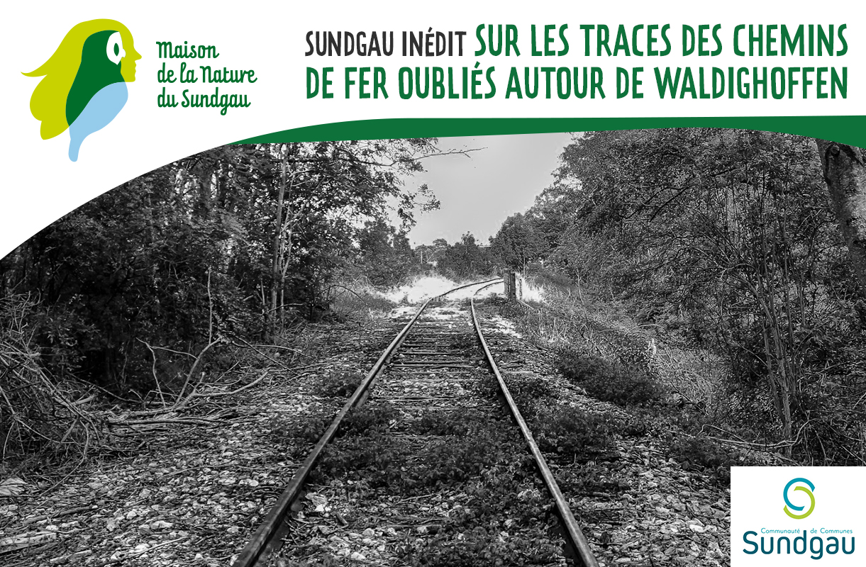 Sur les traces des chemins de fer oubliés autour de Waldighoffen