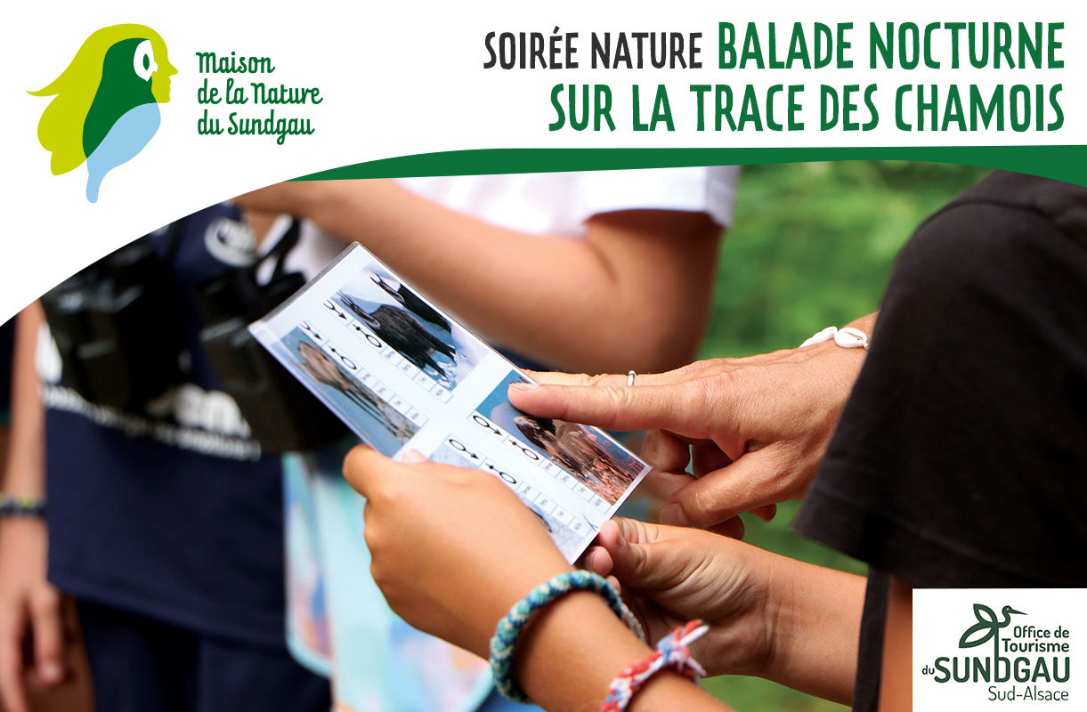 Balade nocturne sur la trace des chamois