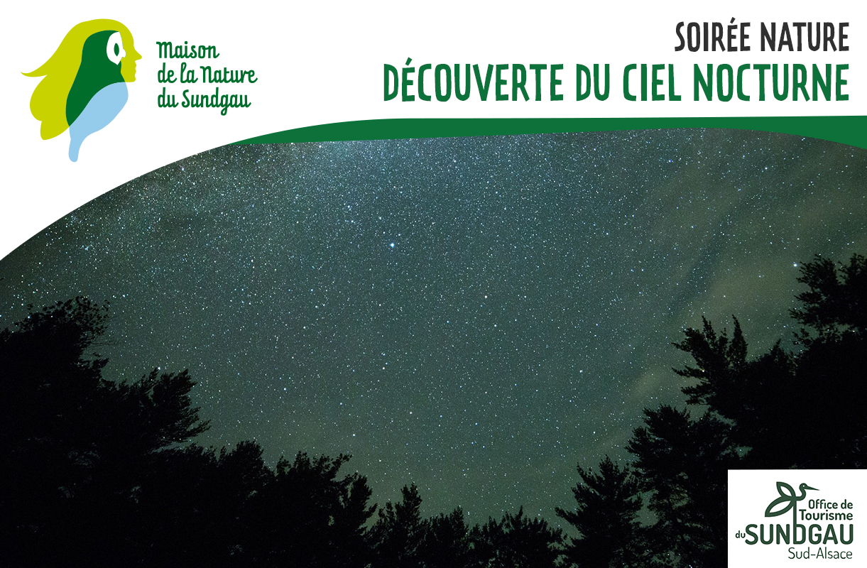 Une soirée découverte du ciel nocturne