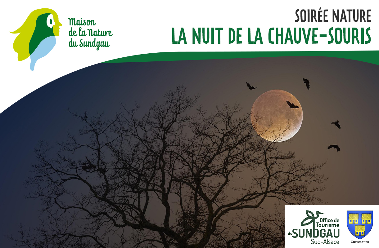 La nuit de la chauve-souris