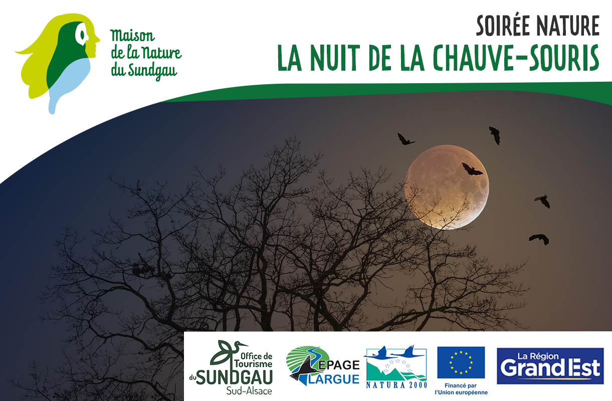 La nuit de la chauve-souris