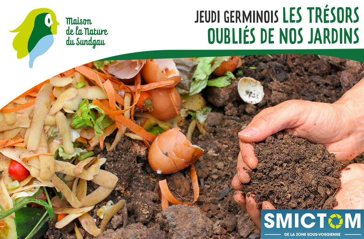 Les trésors oubliés de nos jardins