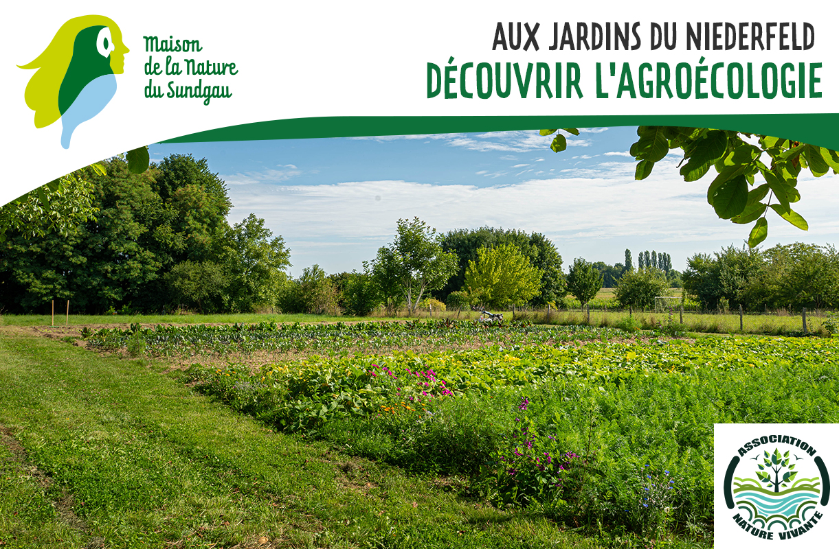 Découvrir l'agroécologie aux Jardins du Niederfeld