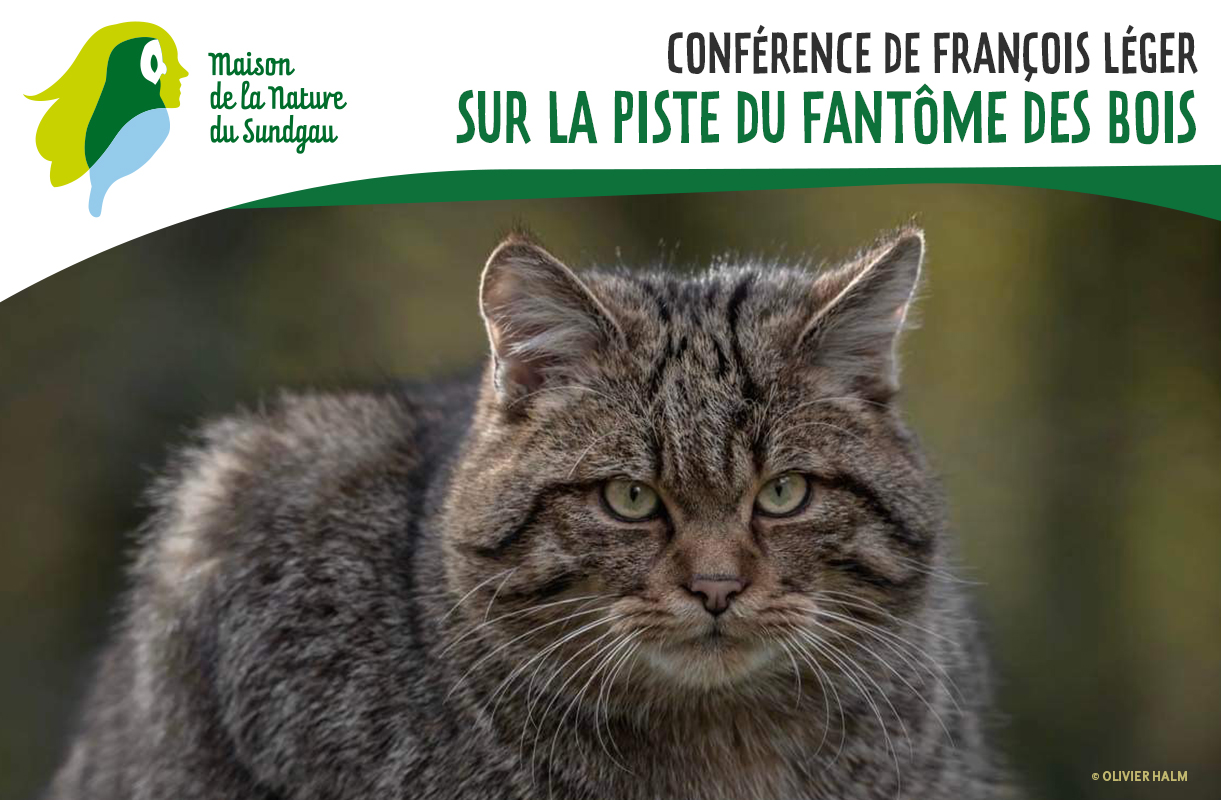 Conférence de François léger : sur la piste du fantôme des bois
