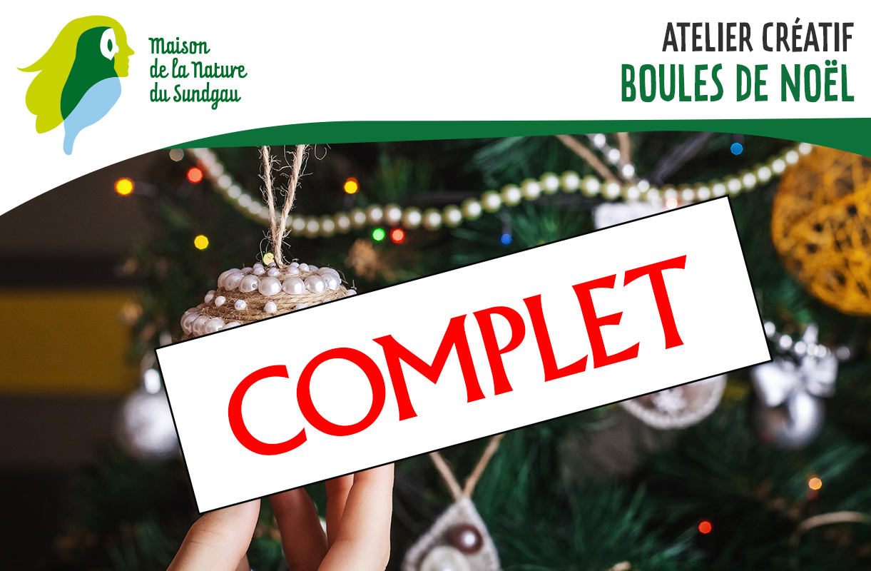 Atelier créatif : boules de Noël