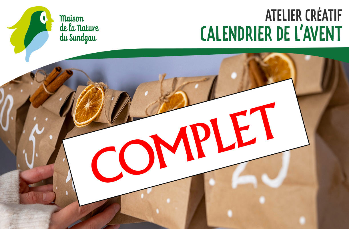 Atelier créatif : Calendrier de l'avent