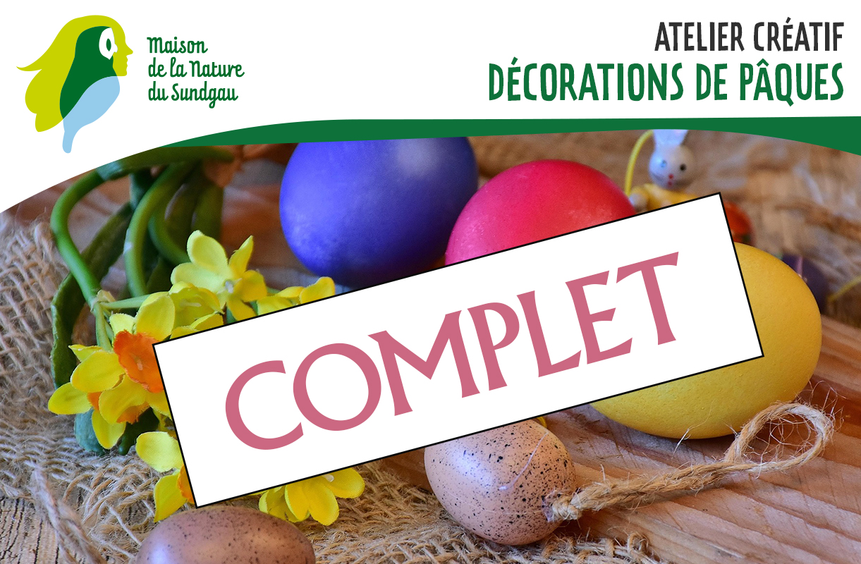 Atelier créatif : décorations de Pâques