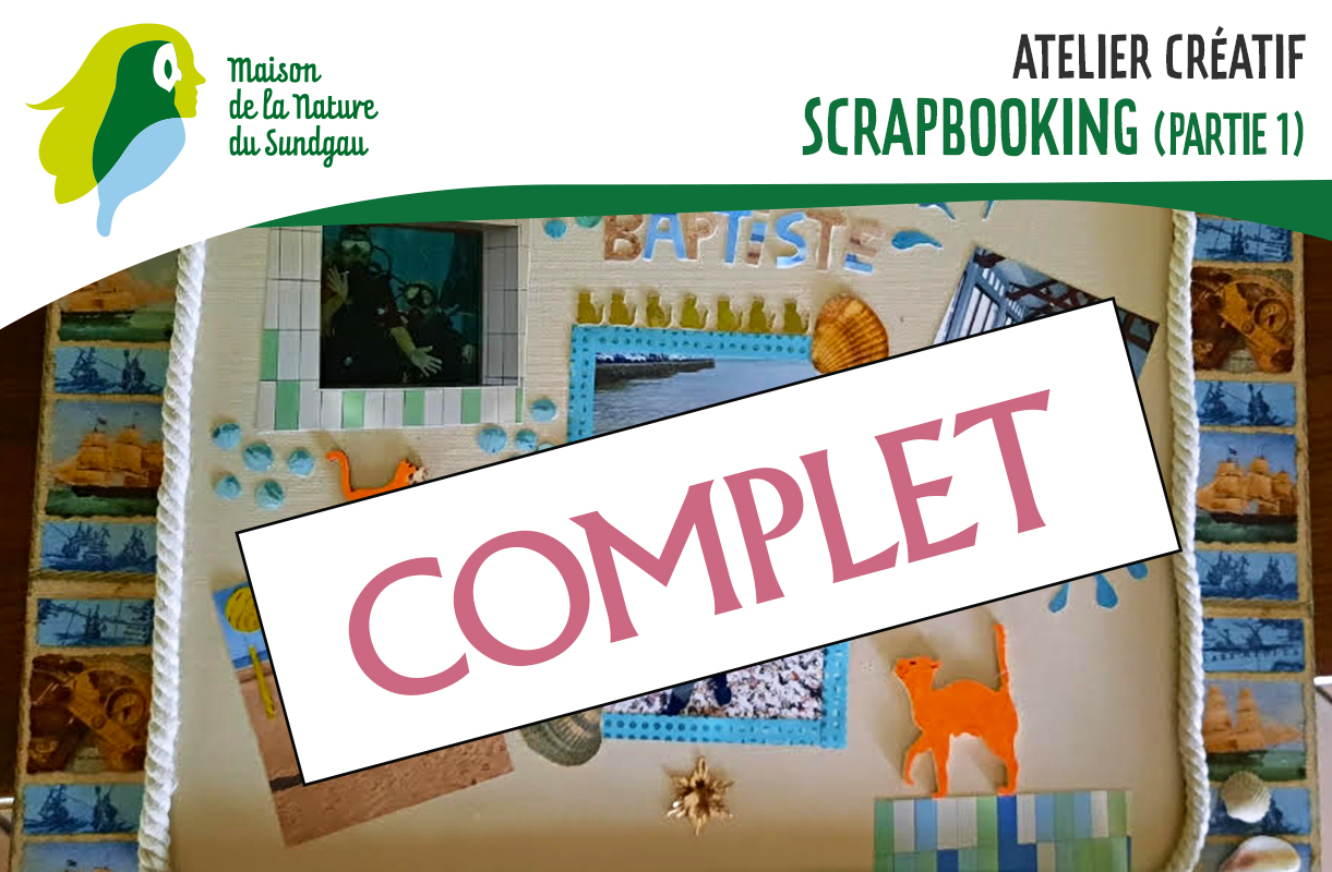 Atelier créatif : scrapbooking (partie 1)