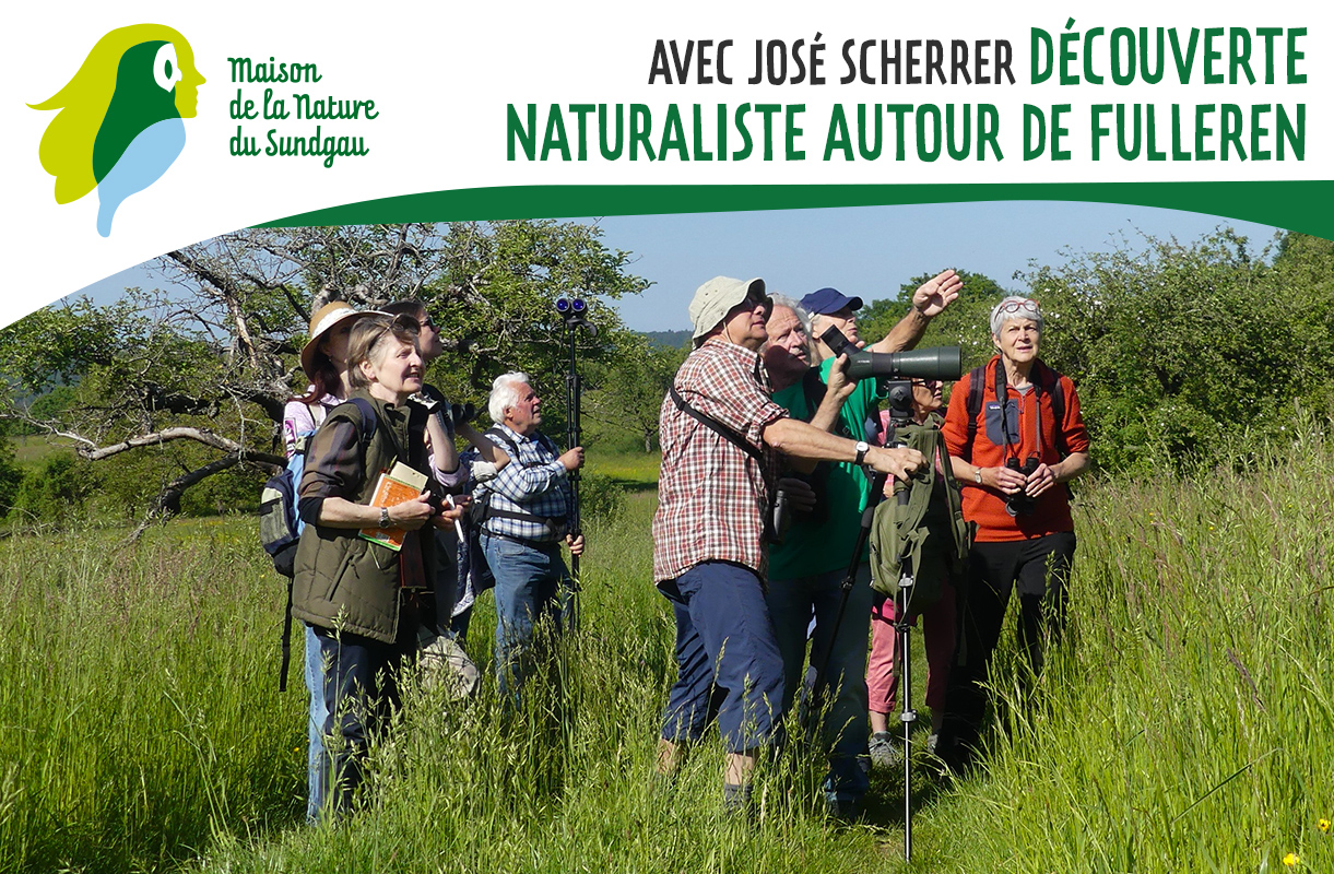 Découverte naturaliste autour de Fulleren
