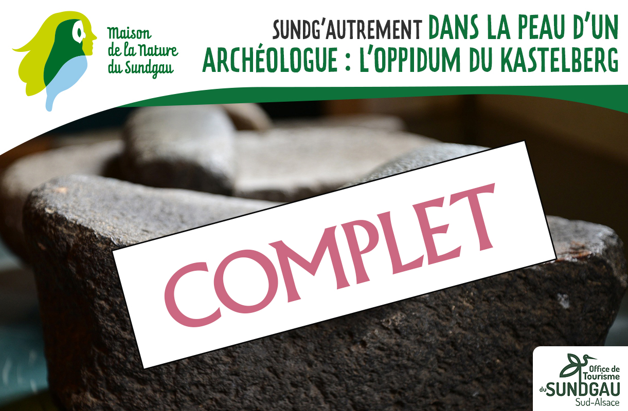 Dans la peau d’un archéologue : l’oppidum du Kastelberg