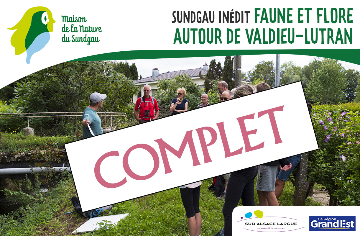 Faune et flore autour de Valdieu-Lutran