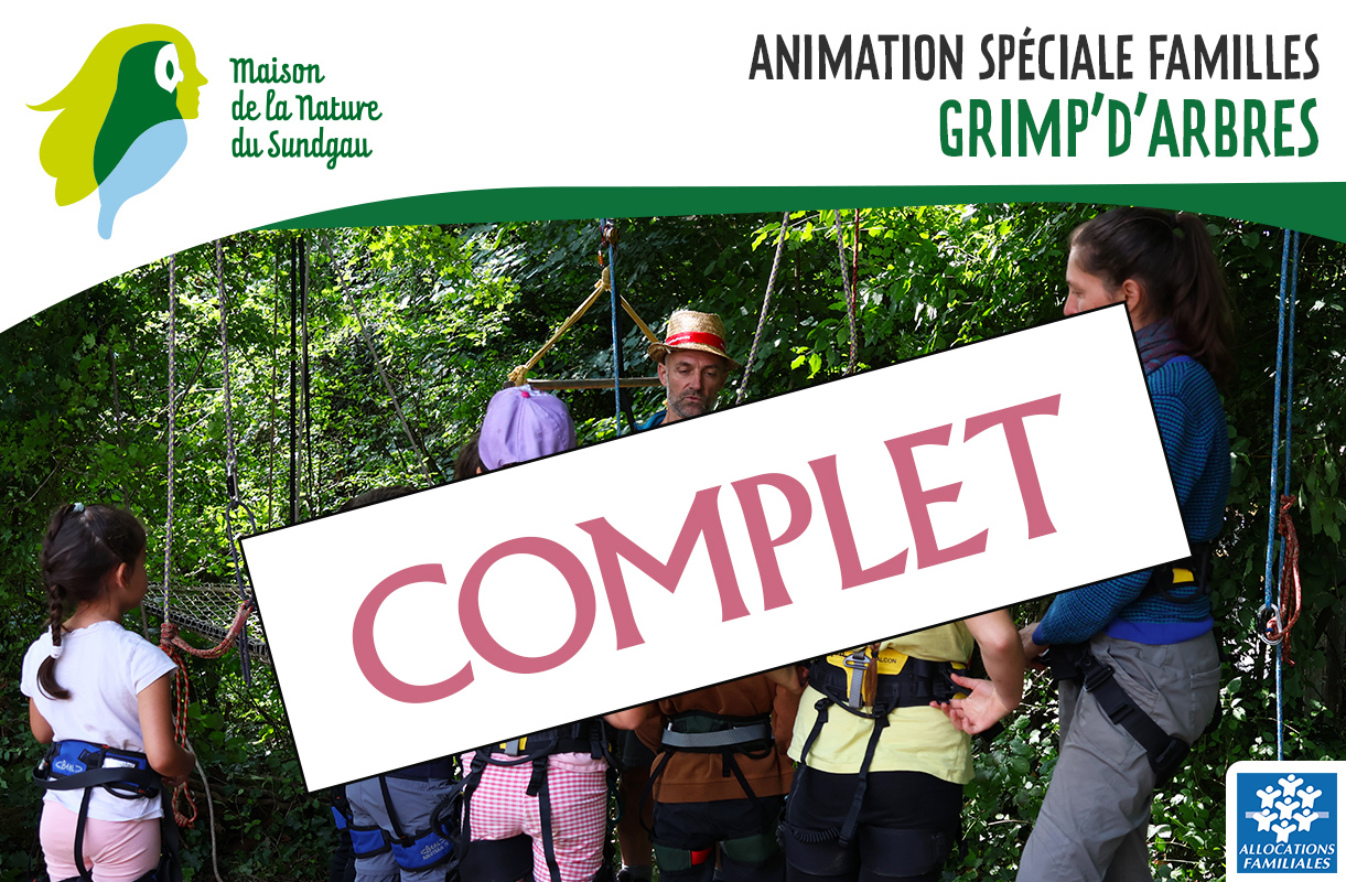 Animation spéciale familles - Grimp’d’arbres (session 1)