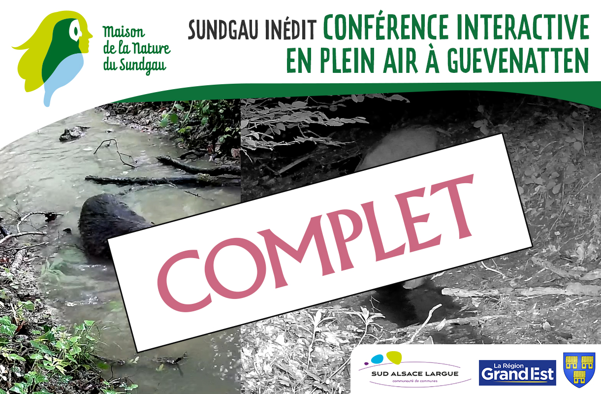 Conférence interactive en plein air à Guevenatten