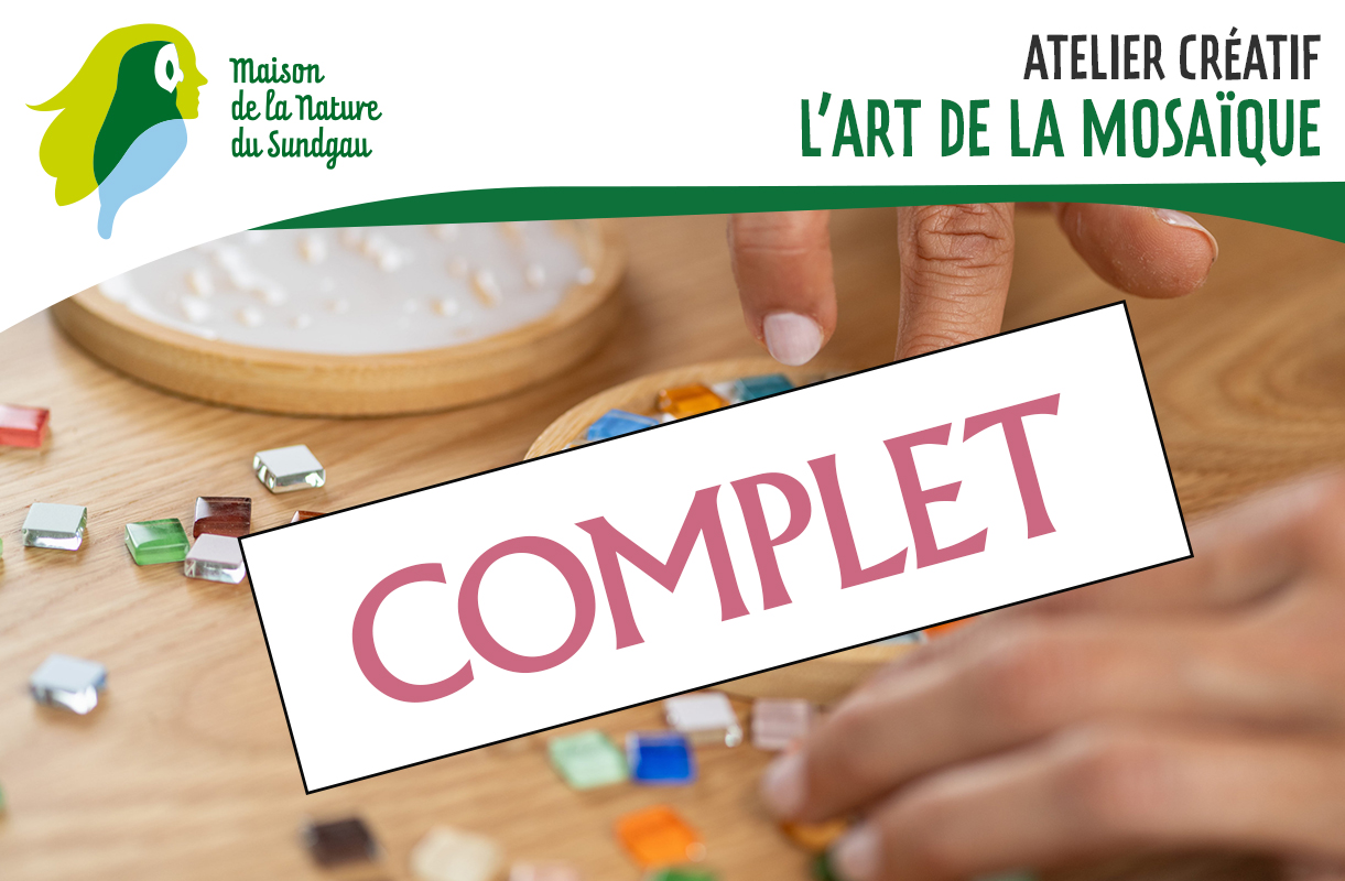 Atelier créatif : l'art de la mosaïque