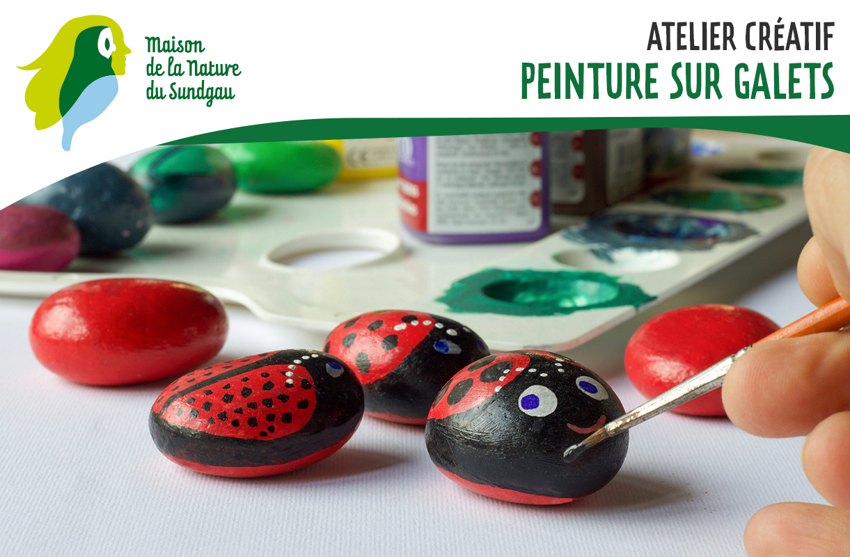 Atelier créatif : peinture sur galets