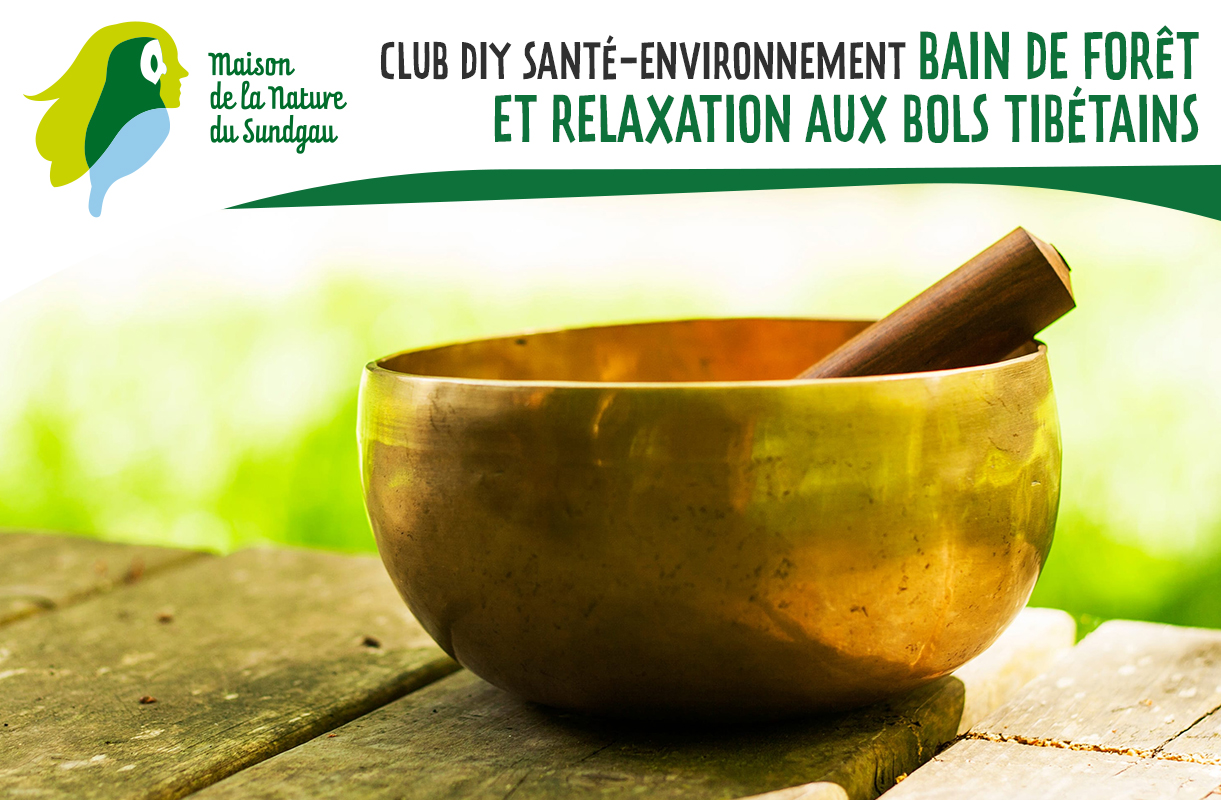 Club DIY santé-environnement : bain de forêt et relaxation aux bols tibétains