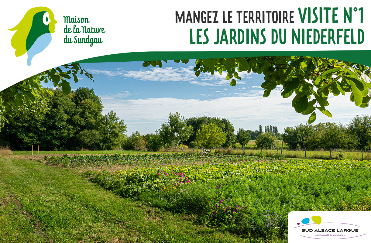 Mangez le territoire : Visite n°1 - Les jardins du Niederfeld